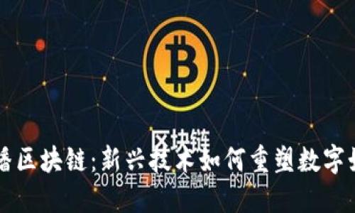 探索快播區(qū)塊鏈：新興技術(shù)如何重塑數(shù)字娛樂(lè)平臺(tái)